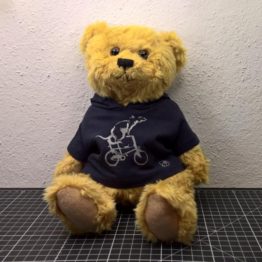 Mini Teddy mit glckskind Hoodie Fahrrad glcksbär