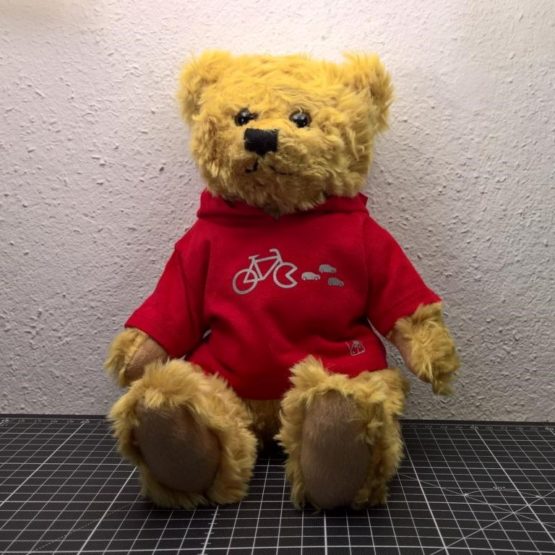 Mini Teddy mit glckskind Hoodie Fahrrad glcksbär